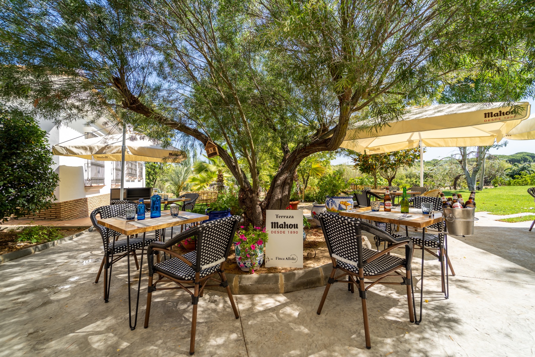 Terraza exterior